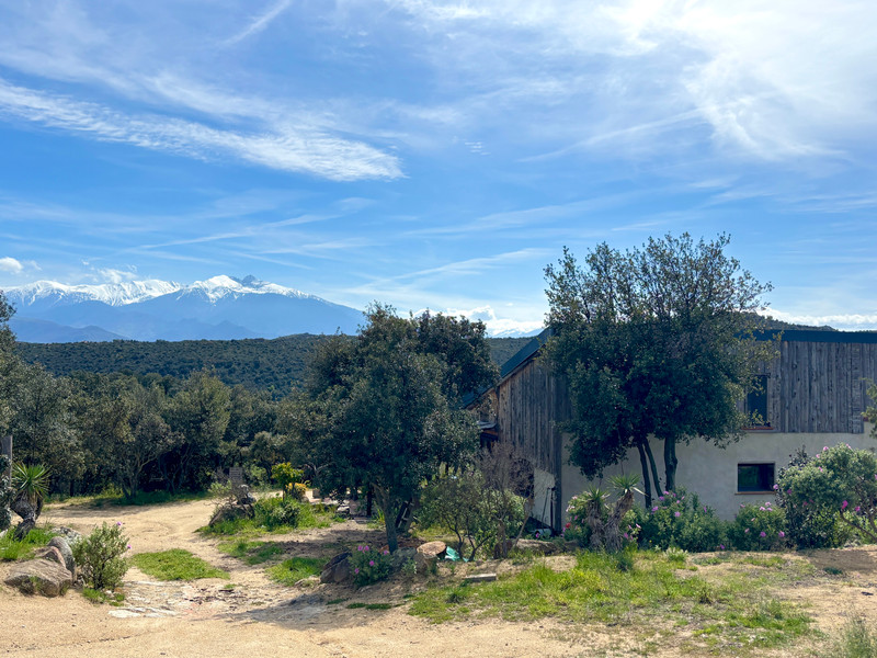 French property for sale in Montalba-le-Château, Pyrénées-Orientales - €330,000 - photo 8