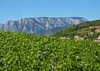 French property for sale in Saint-Chinian, Hérault - €1,700,000 - thumbnail 9