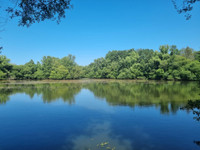 Lacs à vendre à Saint-Cyr-le-Gravelais, Mayenne - 194 400 € - photo 10