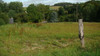 French property for sale in Merléac, Côtes-d'Armor - €37,000 - thumbnail 9
