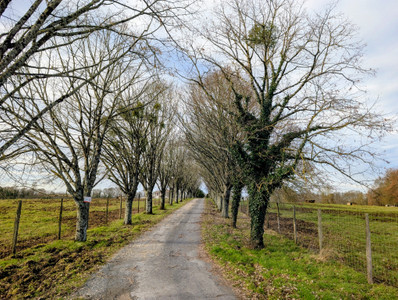 French property for sale in Ébréon, Charente - €335,000 - photo 5