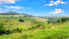 French property for sale in Trie-sur-Baïse, Hautes-Pyrénées - €199,500 - thumbnail 14