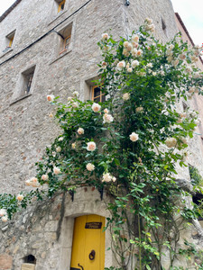 Maison à vendre à Flayosc, Var, PACA, avec Leggett Immobilier