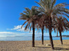 French property for sale in Le Lavandou, Var - €634,200 - thumbnail 9