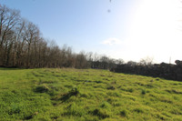 Terrain à vendre à Nieuil, Charente - 20.000 € - photo 4