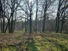 French property for sale in Mareuil en Périgord, Dordogne - €132,000 - thumbnail 14