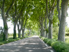 French property for sale in Saint-Rémy-de-Provence, Bouches-du-Rhône - €544,585 - thumbnail 9