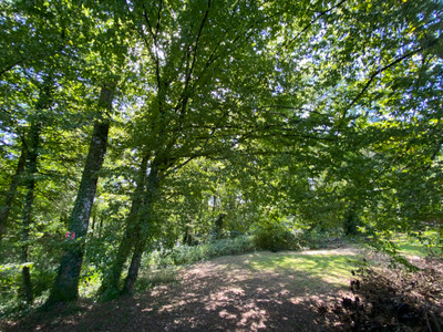 French property for sale in Vigeois, Corrèze - €36,600 - photo 7