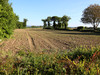 French property for sale in Landeleau, Finistère - €17,000 - thumbnail 3
