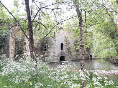 mill for sale in Charente