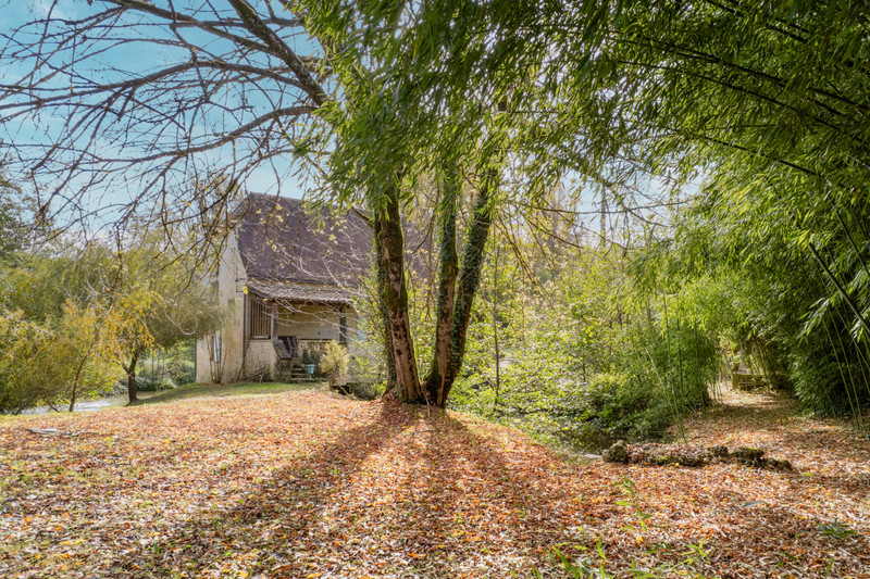 French property for sale in Les Eyzies, Dordogne - €175,000 - photo 12