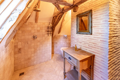 French property for sale in Plazac, Dordogne - €1,550,000 - photo 8