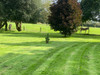 French property for sale in Golleville, Manche - €295,700 - thumbnail 14