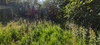 French property for sale in Beauficel, Manche - €72,600 - thumbnail 13