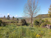French property for sale in Barre-des-Cévennes, Lozère - €369,000 - thumbnail 9