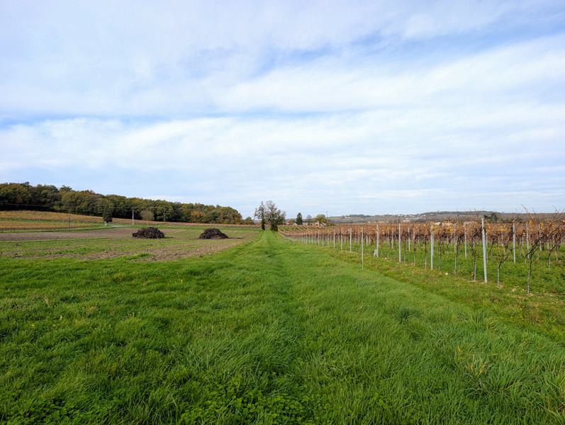 French property for sale in Arthenac, Charente-Maritime - €159,900 - photo 9