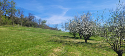 French property for sale in Galapian, Lot-et-Garonne - €410,000 - photo 6