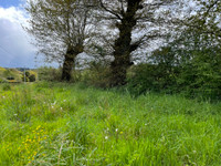 Terrain à Le Mené, Côtes-d'Armor - photo 2