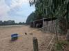 French property for sale in Loireauxence, Loire-Atlantique - €286,000 - thumbnail 9