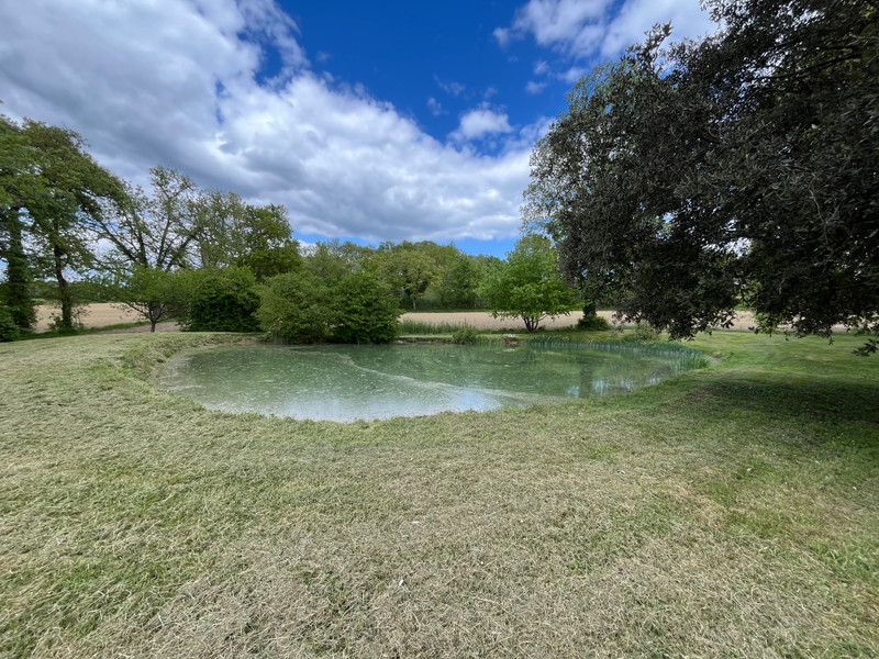 French property for sale in Nérac, Lot-et-Garonne - €400,000 - photo 1