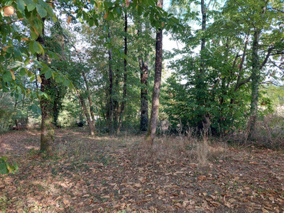French property for sale in Dignac, Charente - €190,000 - photo 9