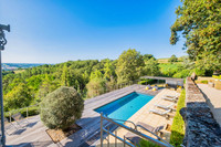 Propriété à vendre à Saint-Cyprien, Dordogne - 850 000 € - photo n°4