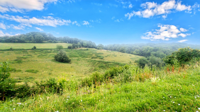 French property for sale in Trie-sur-Baïse, Hautes-Pyrénées - €199,500 - photo 3