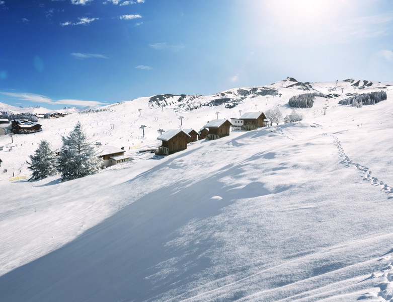 Ski property for sale in La Toussuire - €218,400 - photo 6