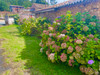 French property for sale in Saint-Sauvant, Vienne - €159,957 - thumbnail 14