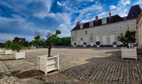 Chateau à vendre à Orléans, Loiret - 250 000 € - photo 5