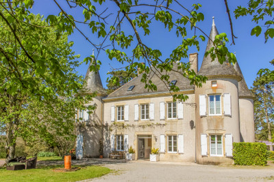 chateau for sale in Deux-Sèvres