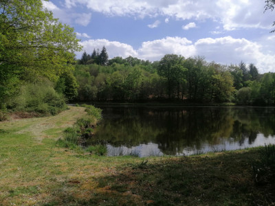 French property for sale in Cussac, Haute-Vienne - €56,600 - photo 3