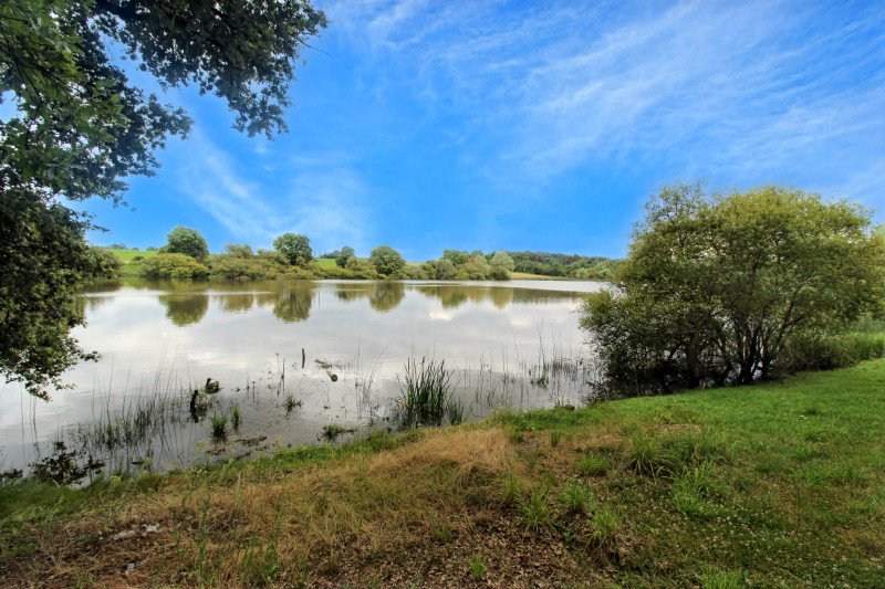 French property for sale in La Puye, Vienne - €424,000 - photo 2
