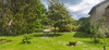 French property for sale in Bourgnac, Dordogne - €471,700 - thumbnail 9