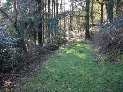 French property for sale in Langonnet, Morbihan - €49,600 - photo 9