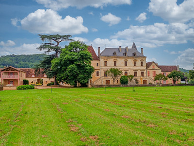 Chateau à vendre à Le Buisson-de-Cadouin, Dordogne, Aquitaine, avec Leggett Immobilier