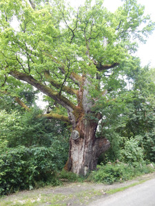 French property for sale in Pinel-Hauterive, Lot-et-Garonne - €235,000 - photo 4