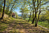 French property for sale in Cénac-et-Saint-Julien, Dordogne - €600,000 - thumbnail 9