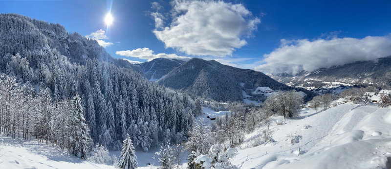 Ski property for sale in La Clusaz - €890,000 - photo 1