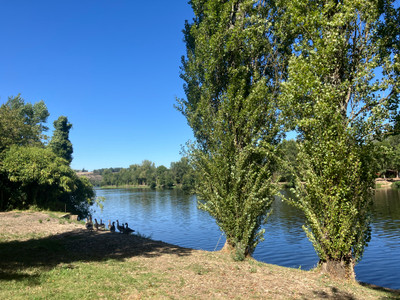 French property for sale in Availles-Limouzine, Vienne - €384,000 - photo 4