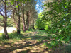 French property for sale in Savigny-en-Sancerre, Cher - €255,000 - thumbnail 9
