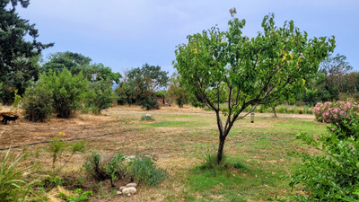French property for sale in Ortaffa, Pyrénées-Orientales - €495,000 - photo 9