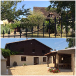 Maison à vendre à Saint-Méard-de-Gurçon, Dordogne - 895.000 € - photo 6