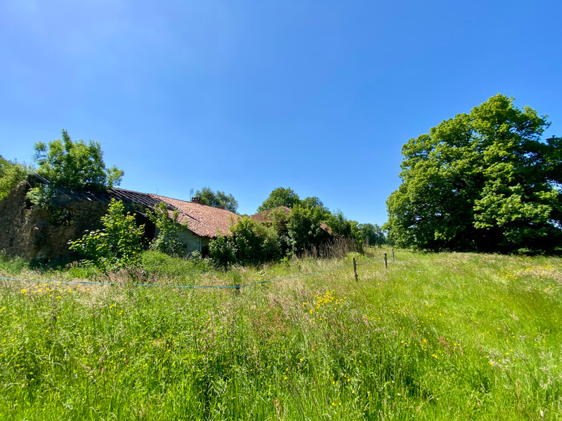 French property for sale in Massignac, Charente - €26,600 - photo 8