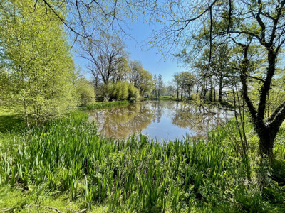 French property for sale in Saint-Gravé, Morbihan - €408,100 - photo 2