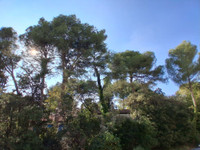 Appartement à vendre à Montpellier, Hérault - 270.000 € - photo 6