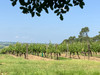 French property for sale in Espiens, Lot-et-Garonne - €213,000 - thumbnail 9