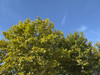 French property for sale in Saint-Rémy-de-Provence, Bouches-du-Rhône - €340,000 - thumbnail 9