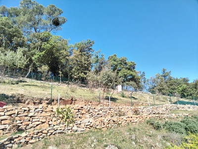 French property for sale in Méounes-lès-Montrieux, Var - €555,000 - photo 7