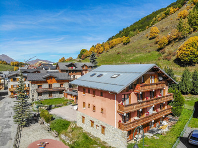 GREAT business opportunity - invest in a unique complex of a chalet, a shop and apartments - Three Valleys
